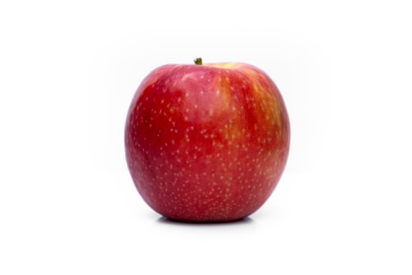 Multifruit Fresh Fruits